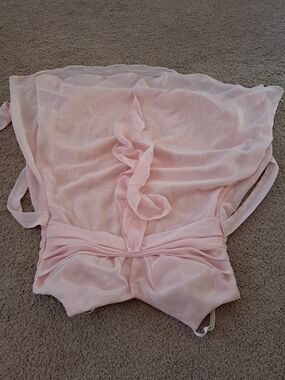 Light Pink Sheer Ruffle Mini Dress